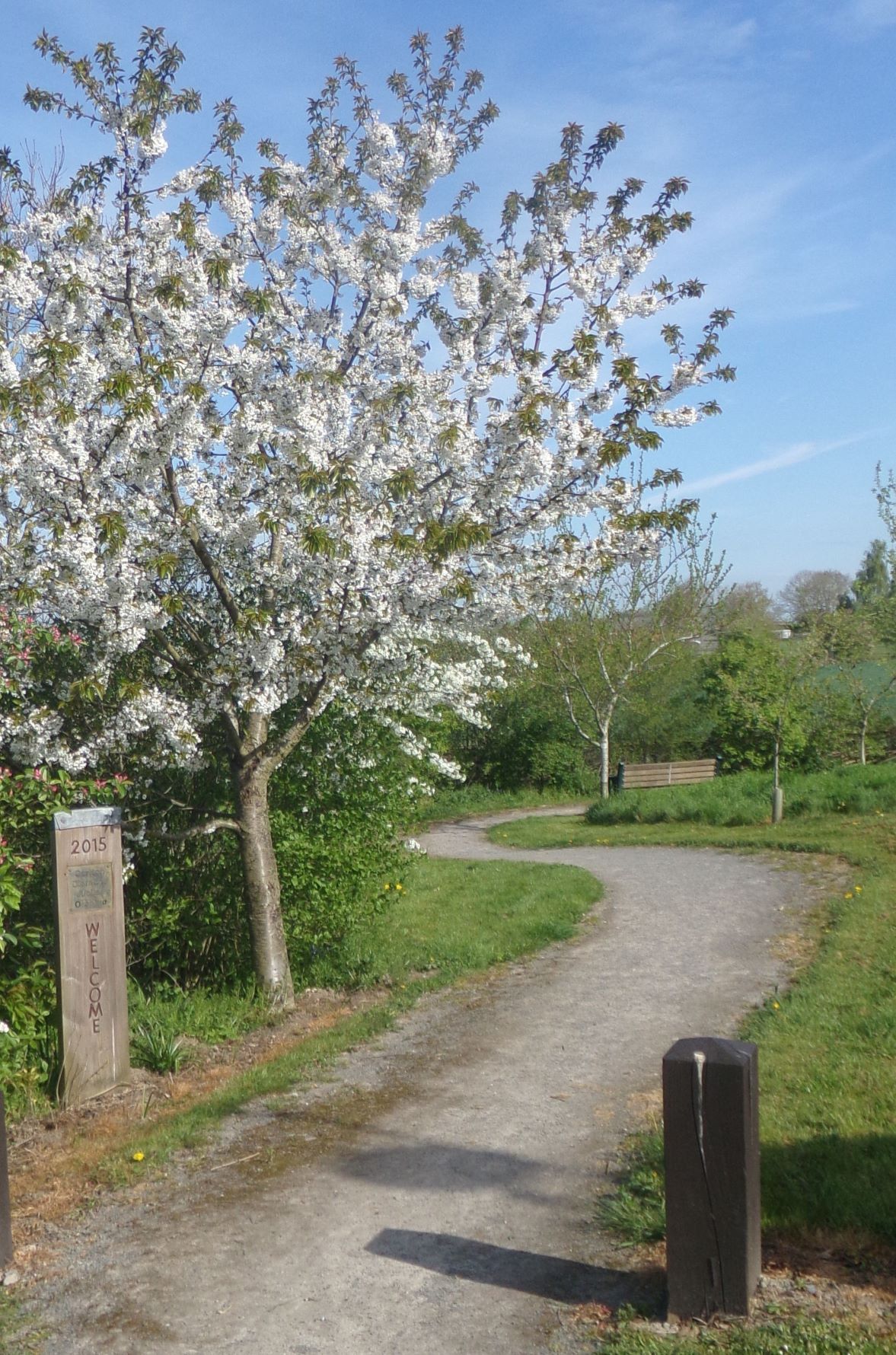 Entrance to the Carlton Diamond Jubilee Orchard, April 2022